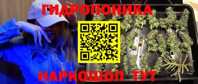 а пвп мука Канаш